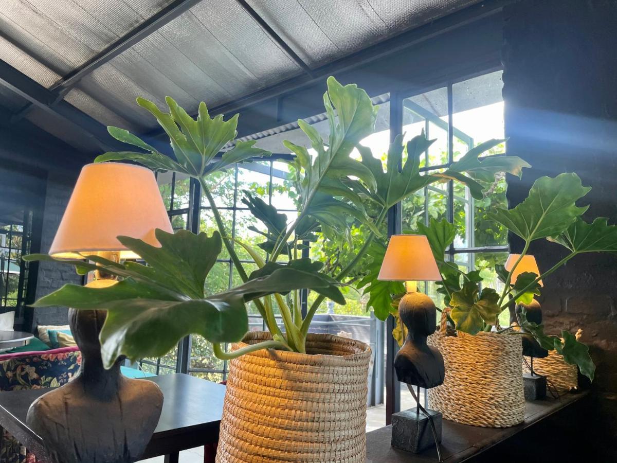 Le Reve Boutique Hotel Tulbagh Luaran gambar