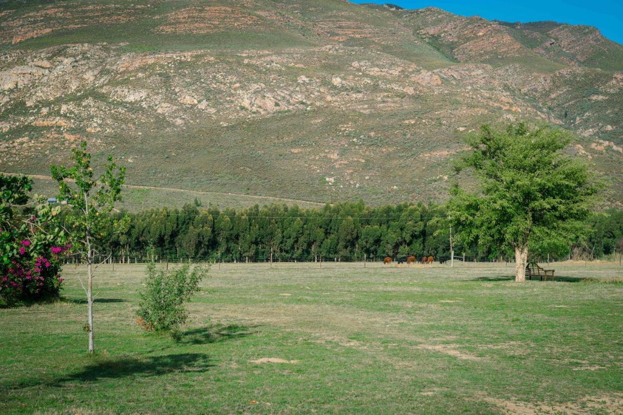 Le Reve Boutique Hotel Tulbagh Luaran gambar