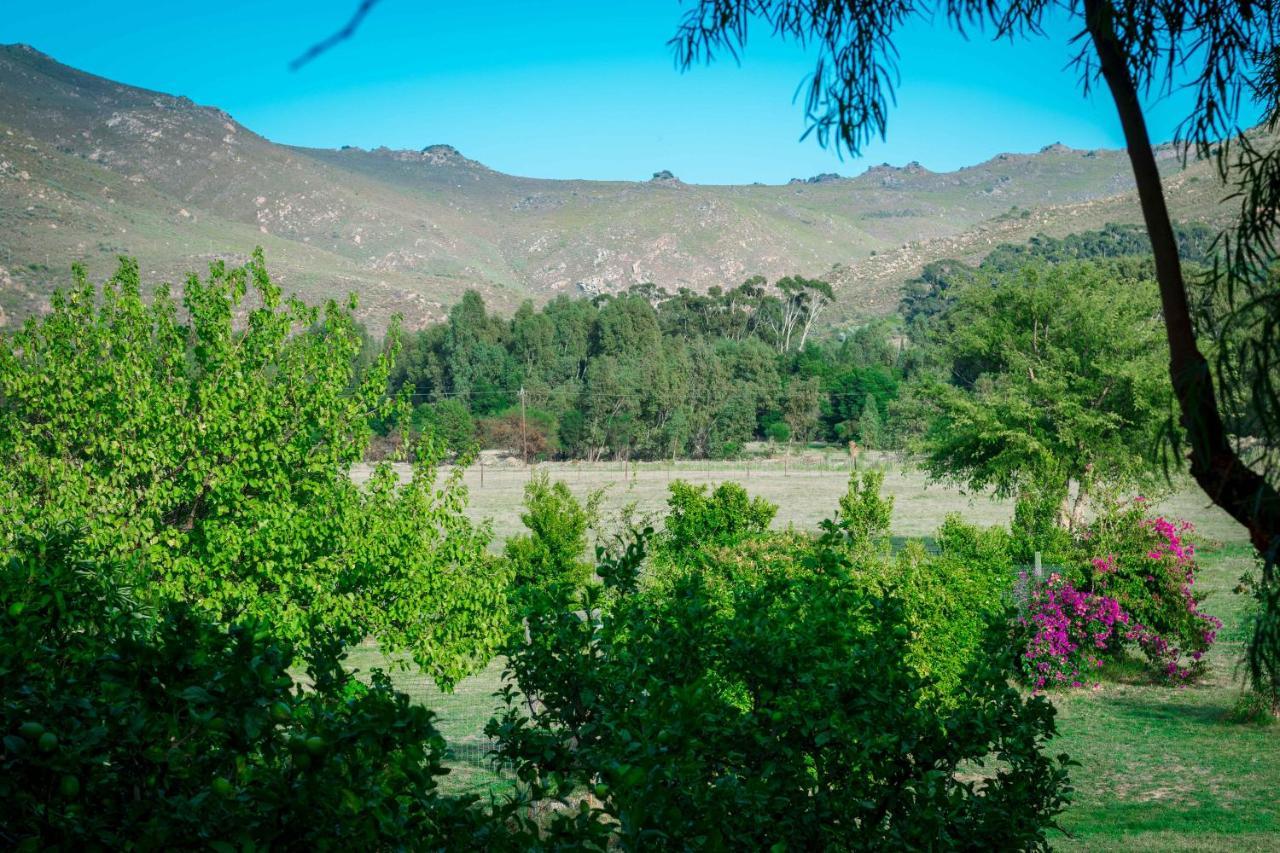 Le Reve Boutique Hotel Tulbagh Luaran gambar